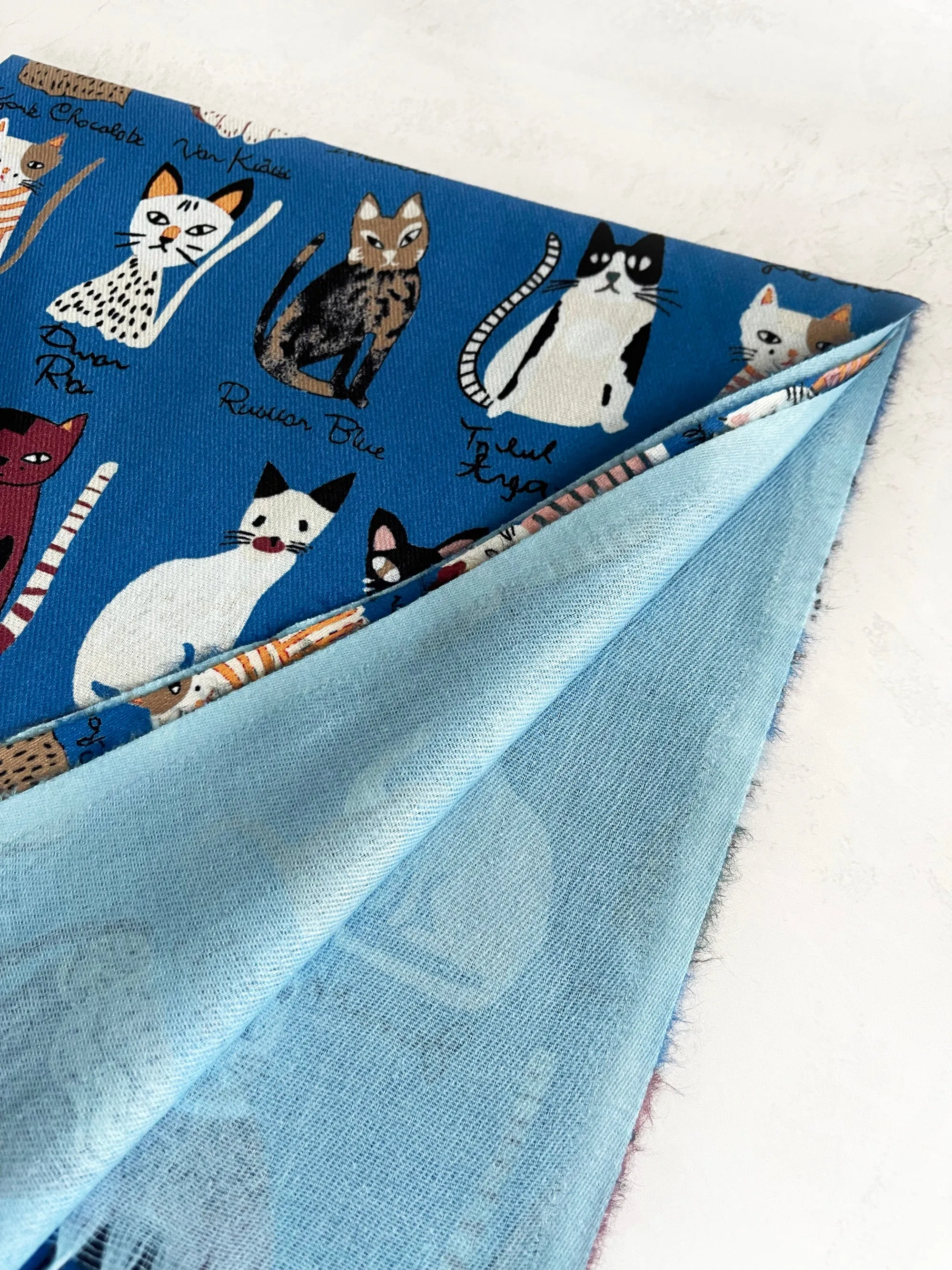 BLUE CAT PRINT LONG LIGHTWEIGHT SCARF