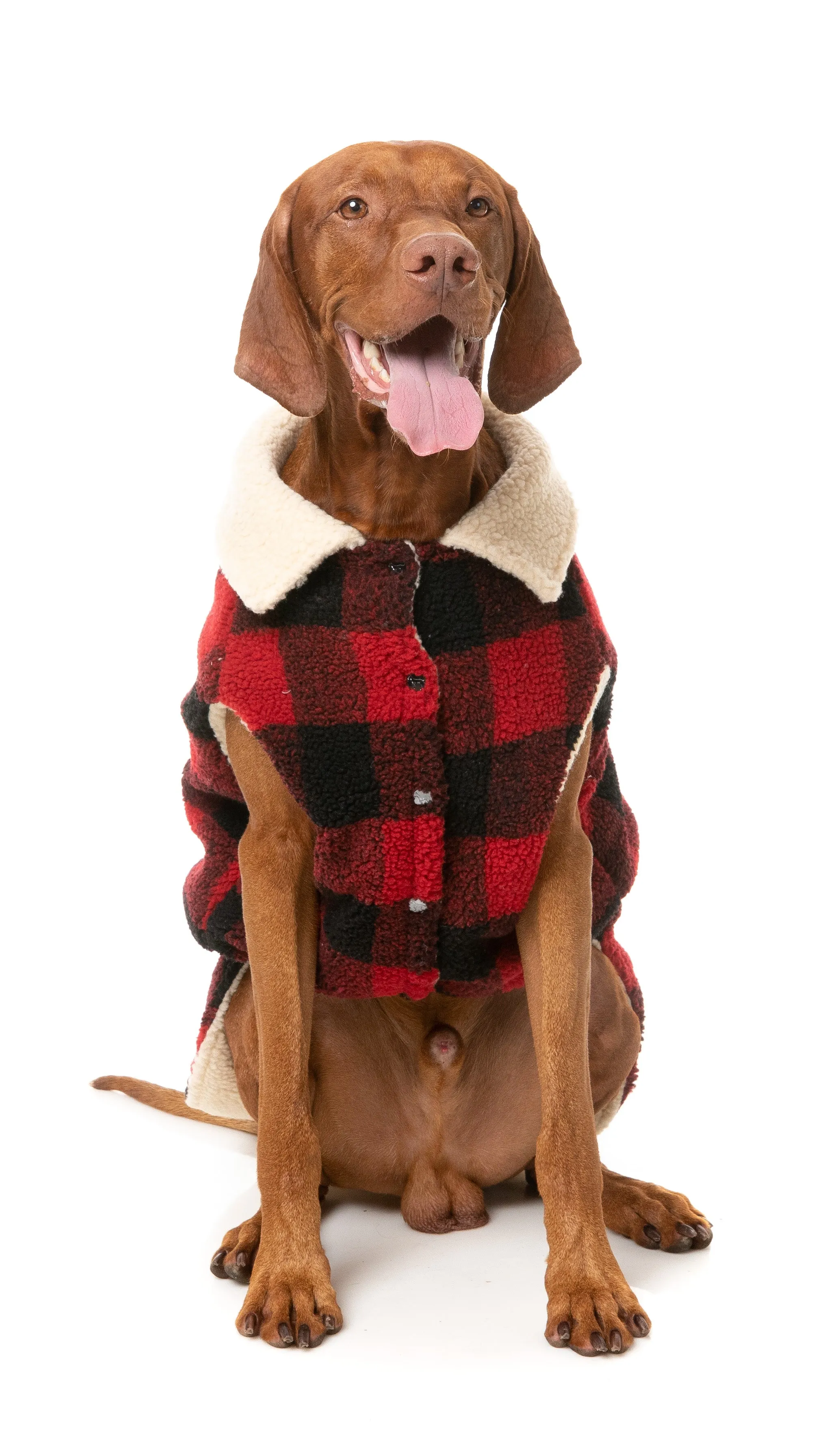 FuzzYard The Lumberjack Dog Jacket Red