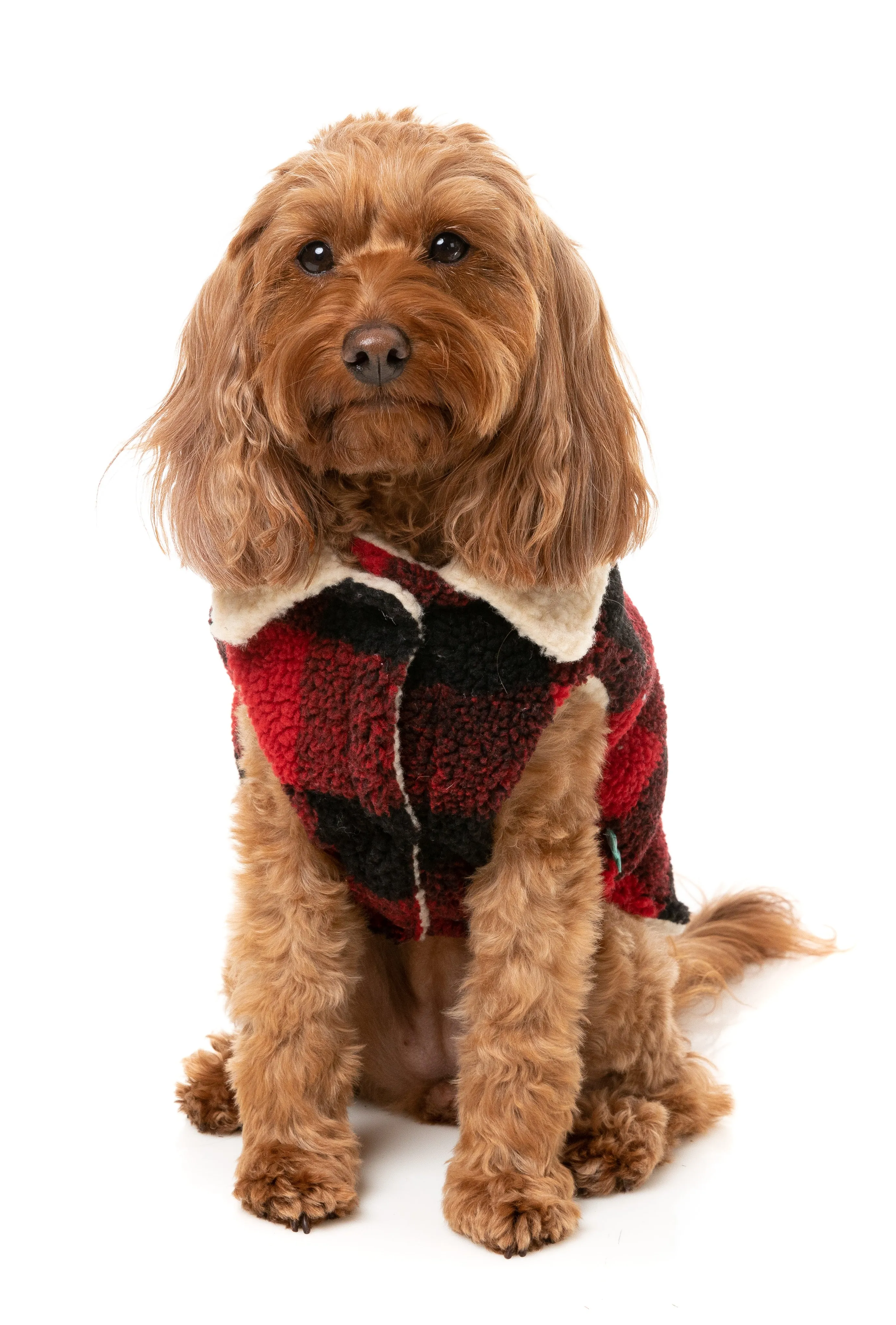 FuzzYard The Lumberjack Dog Jacket Red