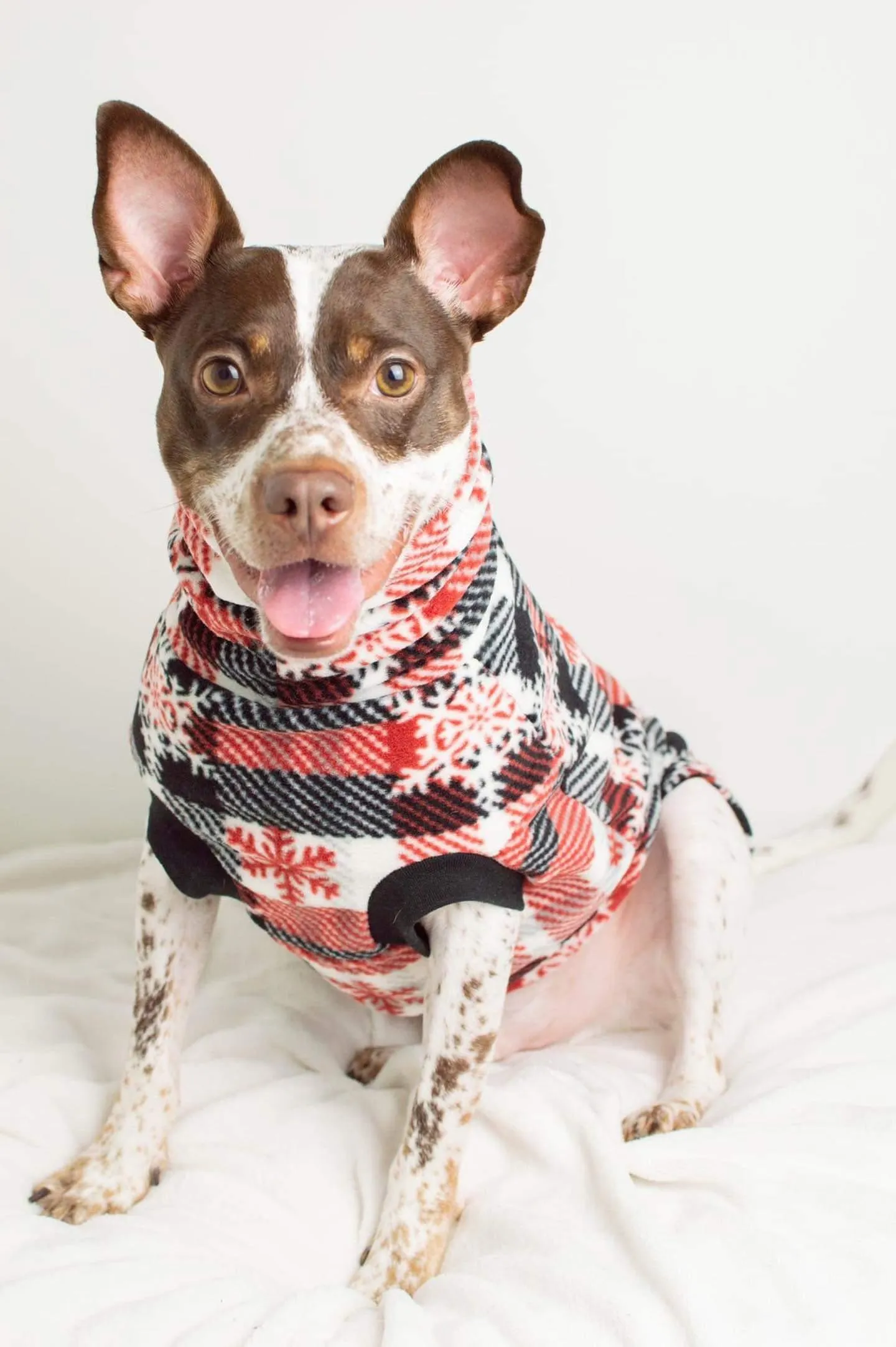 The TriFlurry Plaid Dog Sweater