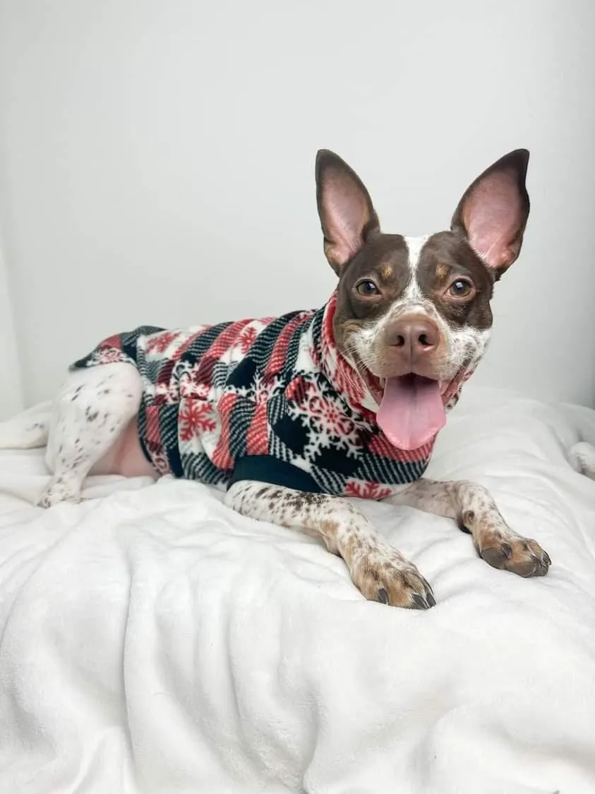 The TriFlurry Plaid Dog Sweater