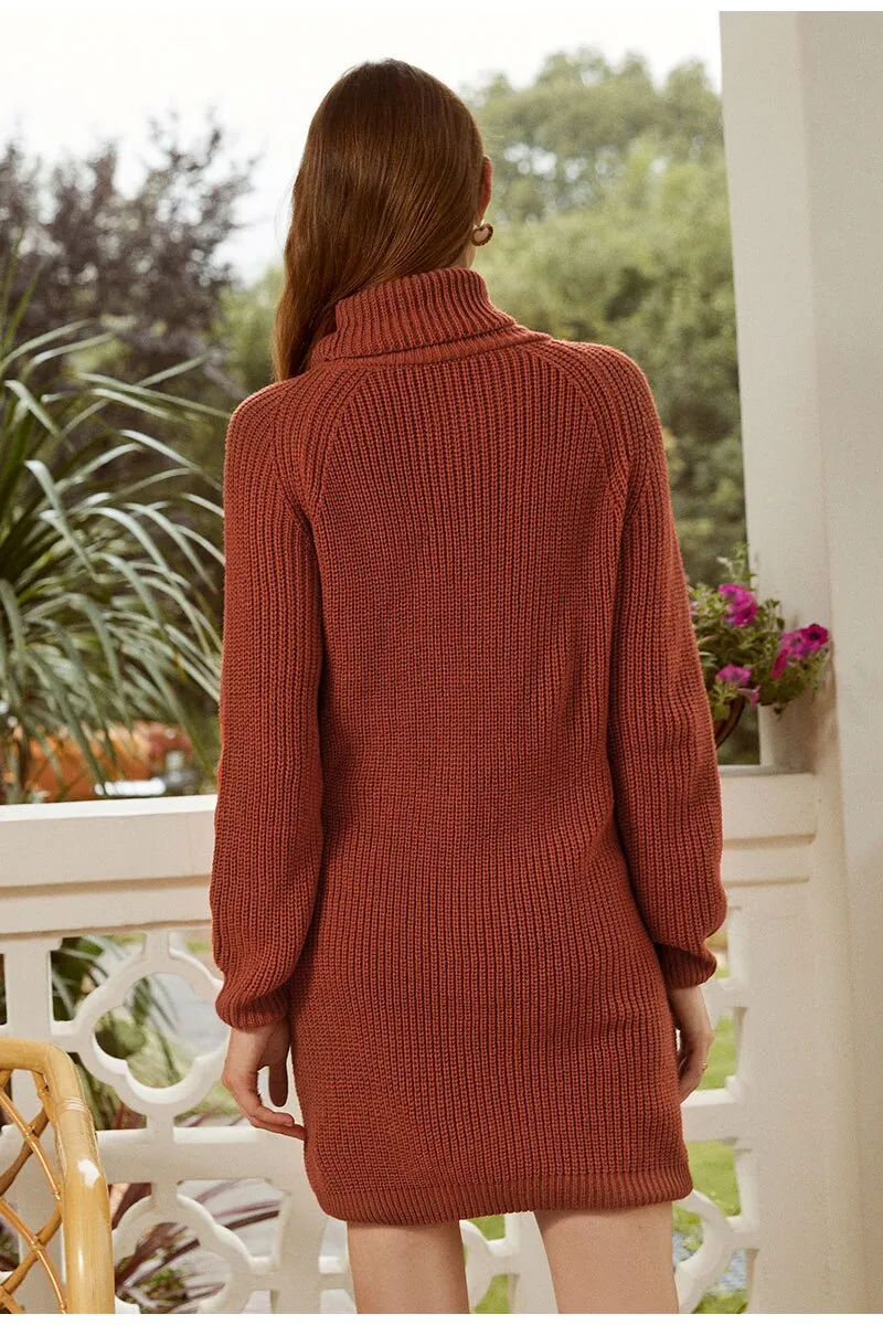 Turtleneck Knitted Sweater Casual Loose Long Sweater Pullover Winter Oversize Pull Knit Dress