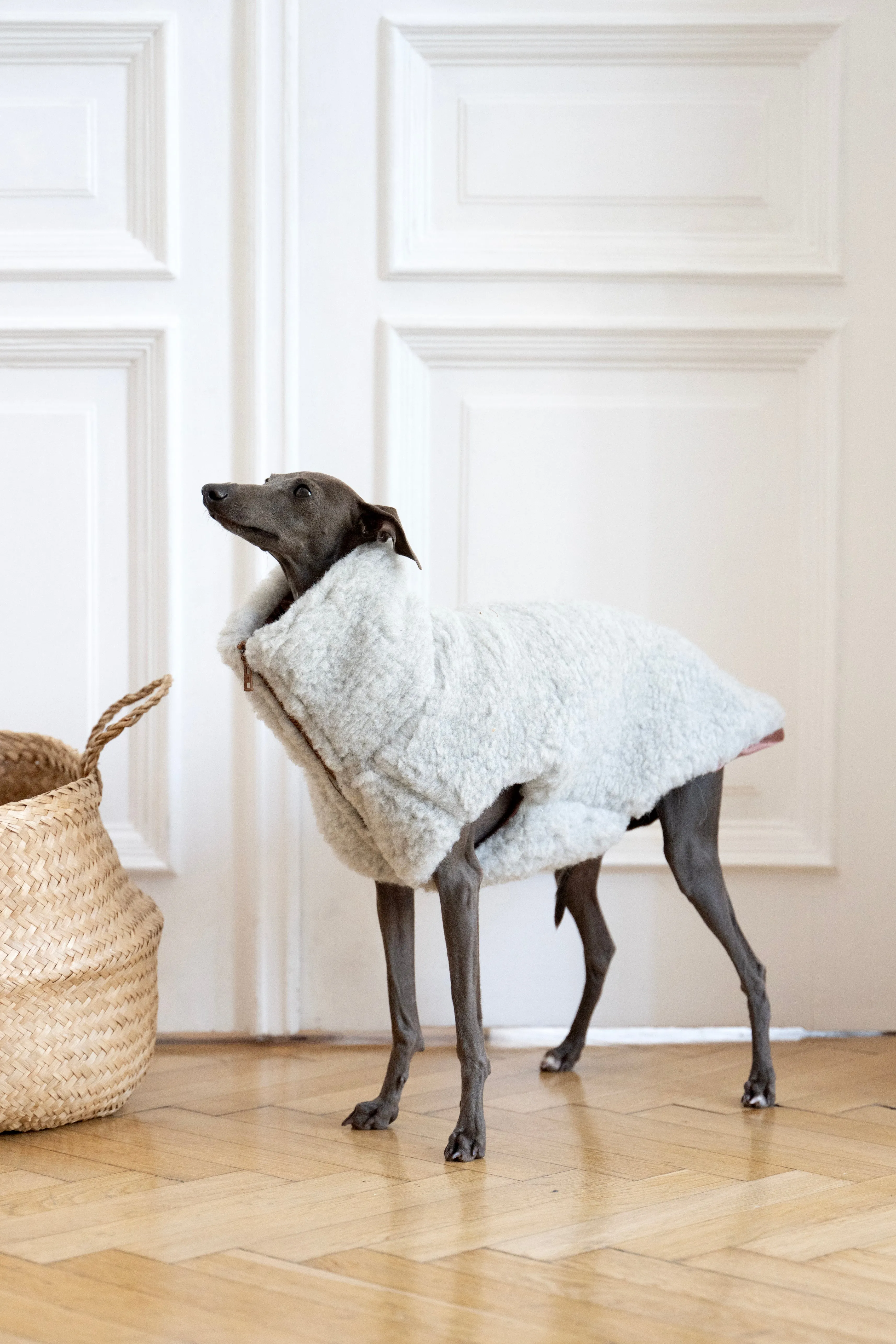 Woolen Dog Vest - Light Grey